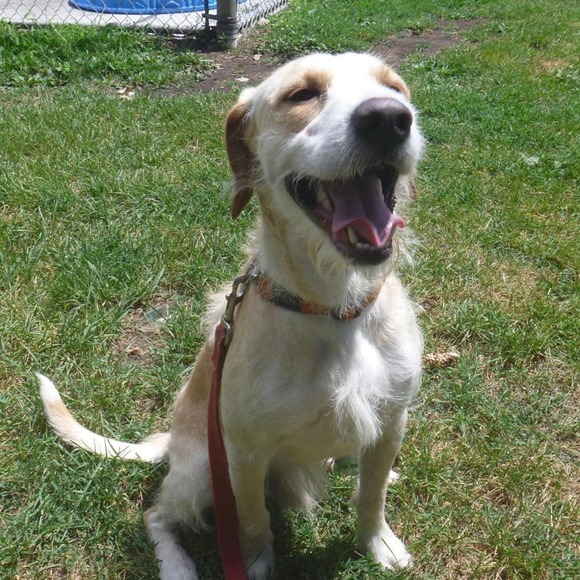 Meet your Posher, Natasha - Picture 1 of 1